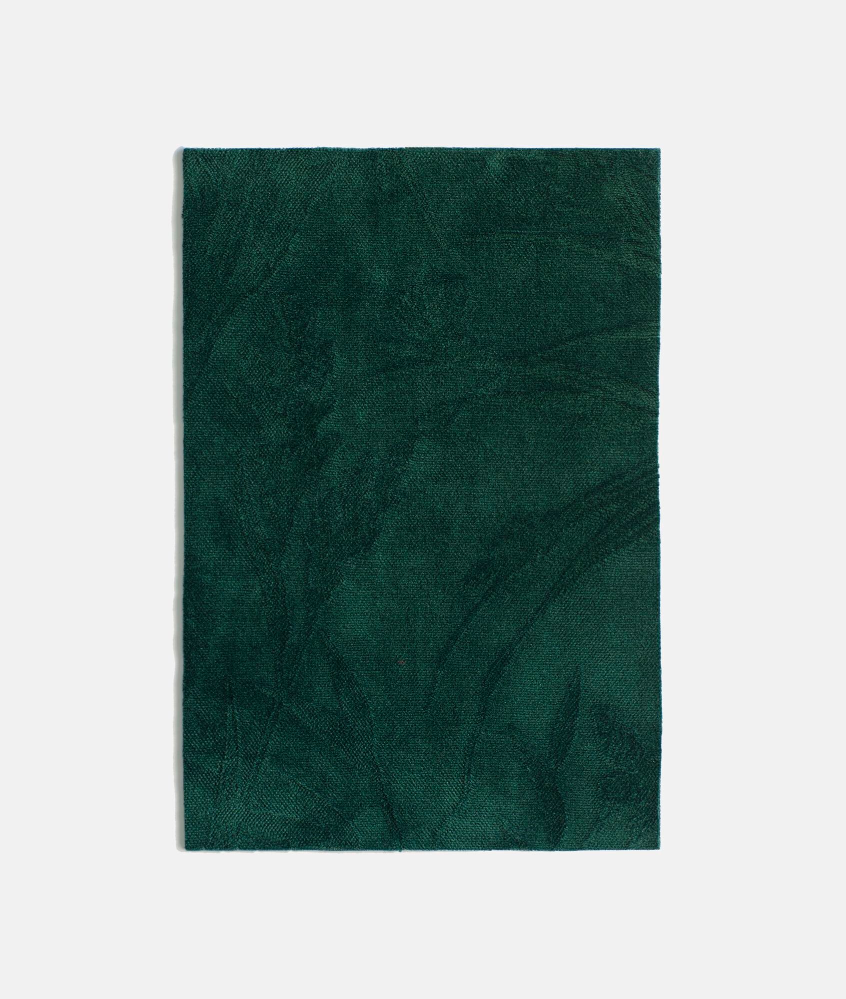 Однотонная обивочная ткань Dedar IL GIARDINO IN UNA STANZA ARCH-00043054 - Вид №4