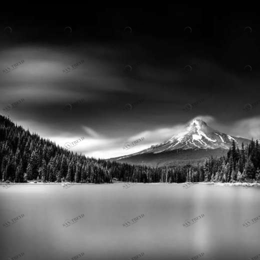 WP02375 Фотообои Verol Фотообои decoline 1х1 м