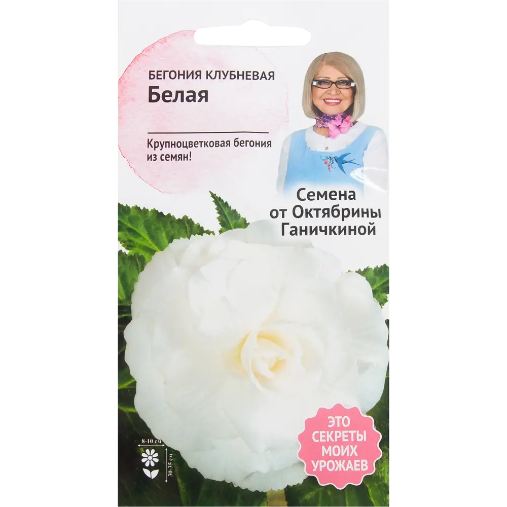 Бегония белая 6 шт. 82481684 STLM-2033043 СЕМЕНА ОТ ОКТЯБРИНЫ ГАНИЧКИНОЙ 