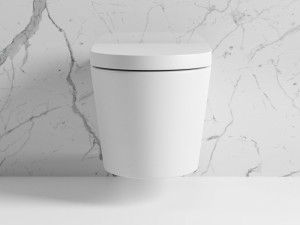 Керамический подвесной туалет без бриды