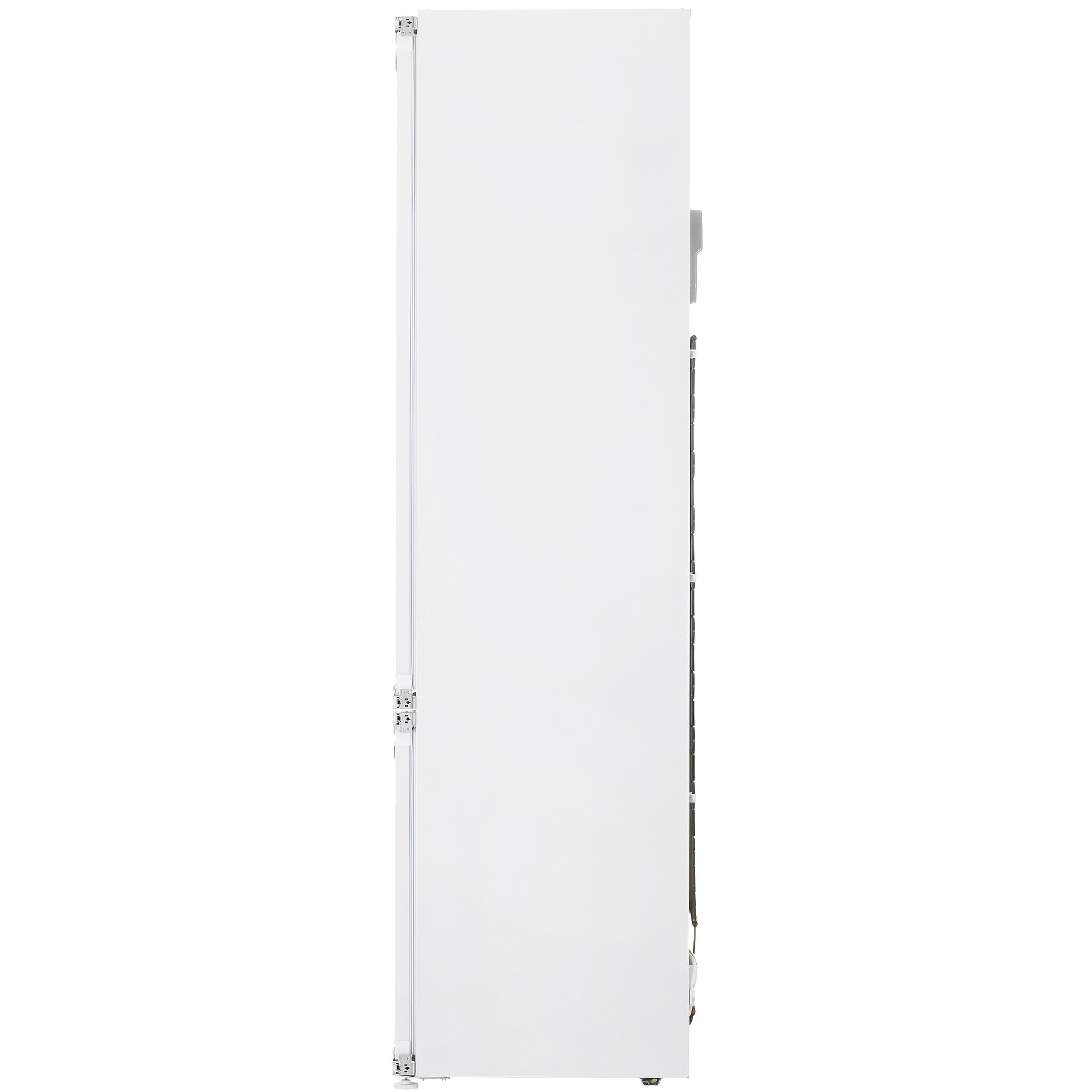 5406995 Встраиваемый холодильник Ascoli ADRF305WEMBI STDN-0008751 - Вид №4