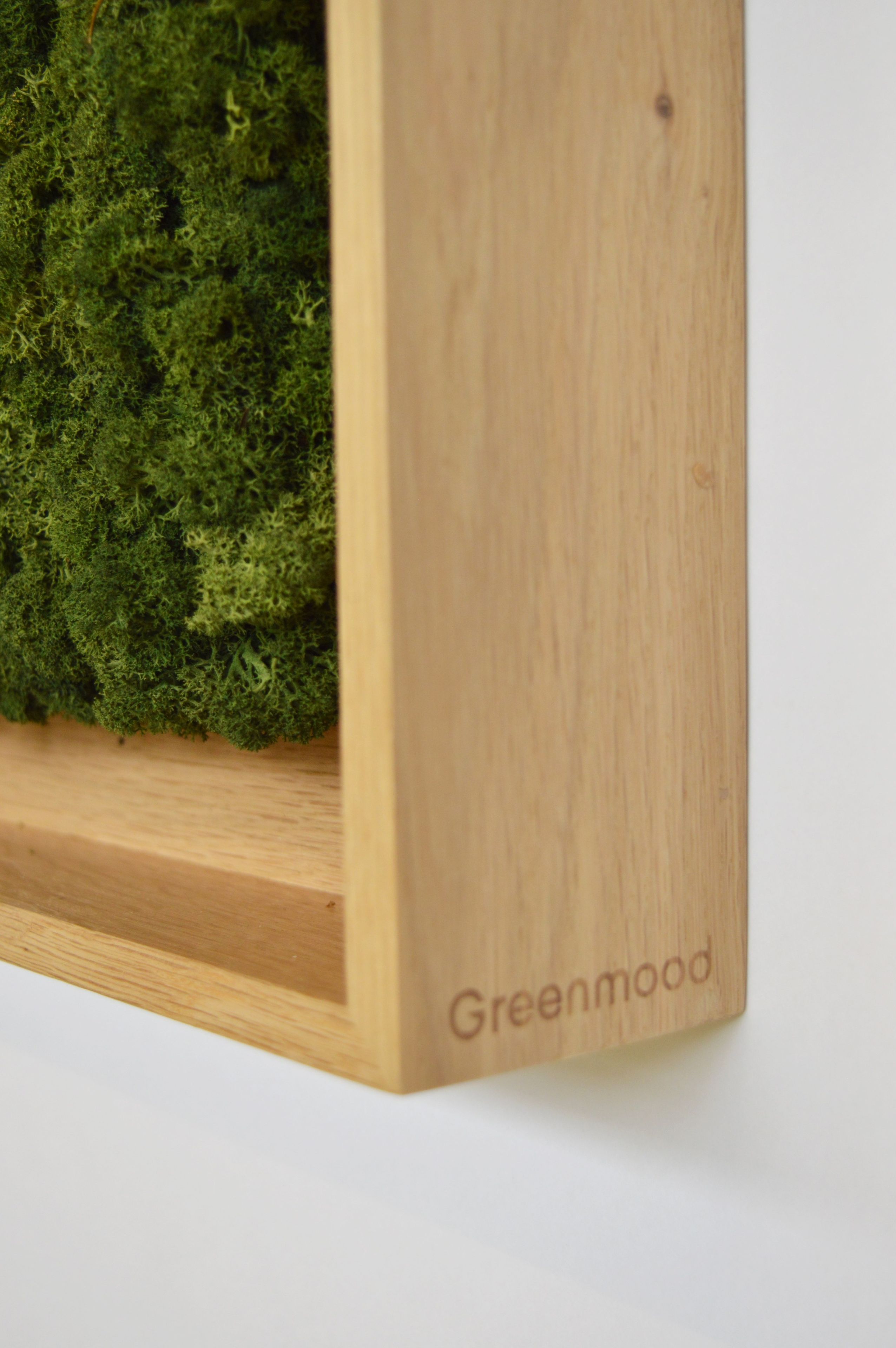 Акустическая панель из мха GREENMOOD FRAMED SYNERGY ARCH-00061647 - Вид №20