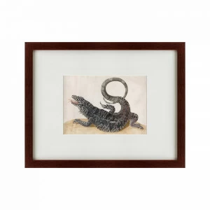 Литография на тонированной бумаге 47х60 см Black Tegu Lizard, 1700 КАРТИНЫ В КВАРТИРУ  135650 Бежевый;белый;коричневый;разноцветный