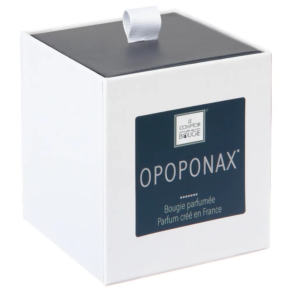 Свеча ароматизированная в стакане Опопонакса прозрачная 9.5 см Atmosphera STLM-2148422 - Вид №3