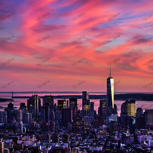 B1-015 Фотообои DIVINO Collection B 2.7х3 м B1015