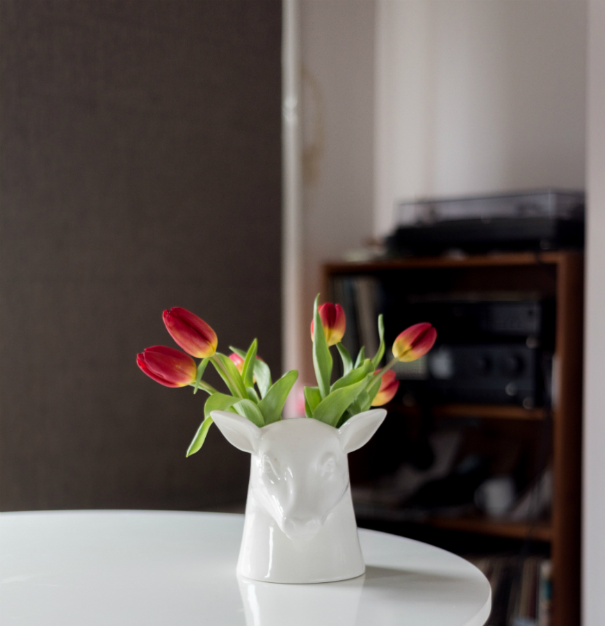 SK POTSTAG1 Органайзер для хранения Suck UK  - Вид №2