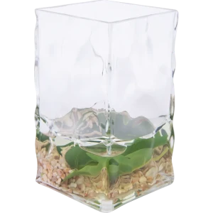 Стакан для зубных щёток Monstera