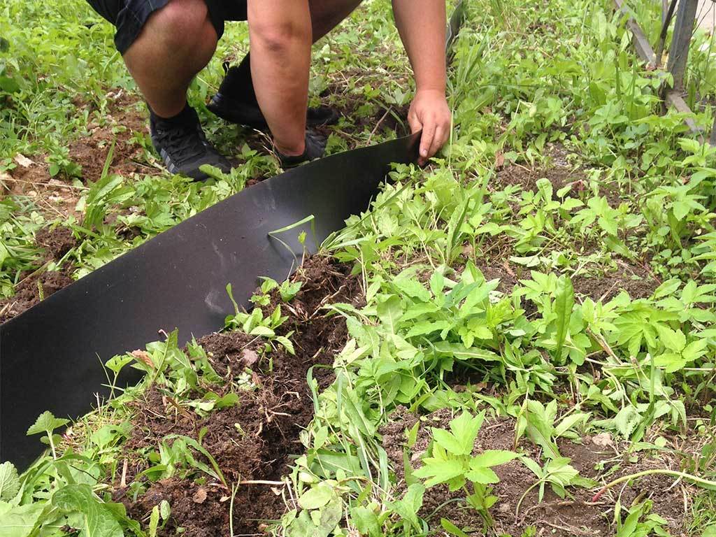 Лента бордюрная 450 мм x 10 м, 2 мм ГеоПластБорд GPBST-52 - Вид №6