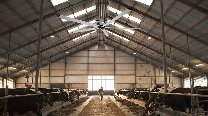 Vortice Nordik hvls super blade  61084  - Вид №3