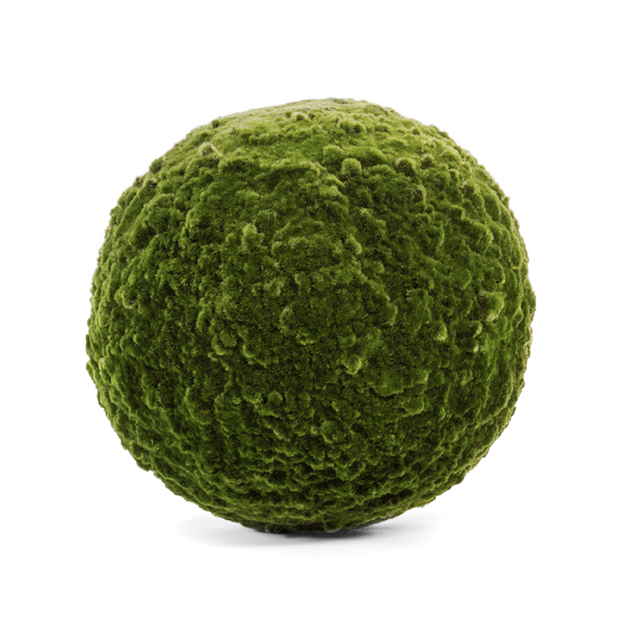 2000983190048 Шар из мха диаметр 50 SERAX 