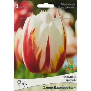 Тюльпаны Триумф Хеппи Дженерейшн ПОИСК - белые с красным, 3 луковицы 85205525