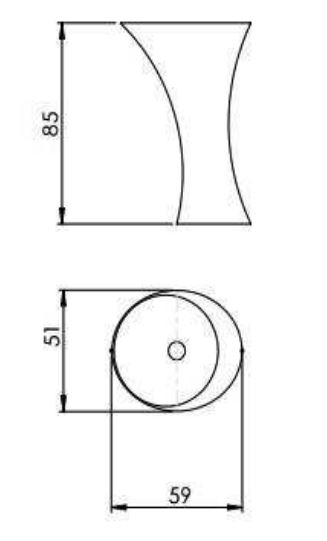Hilton bicolor Mastella  Раковина  - Вид №2
