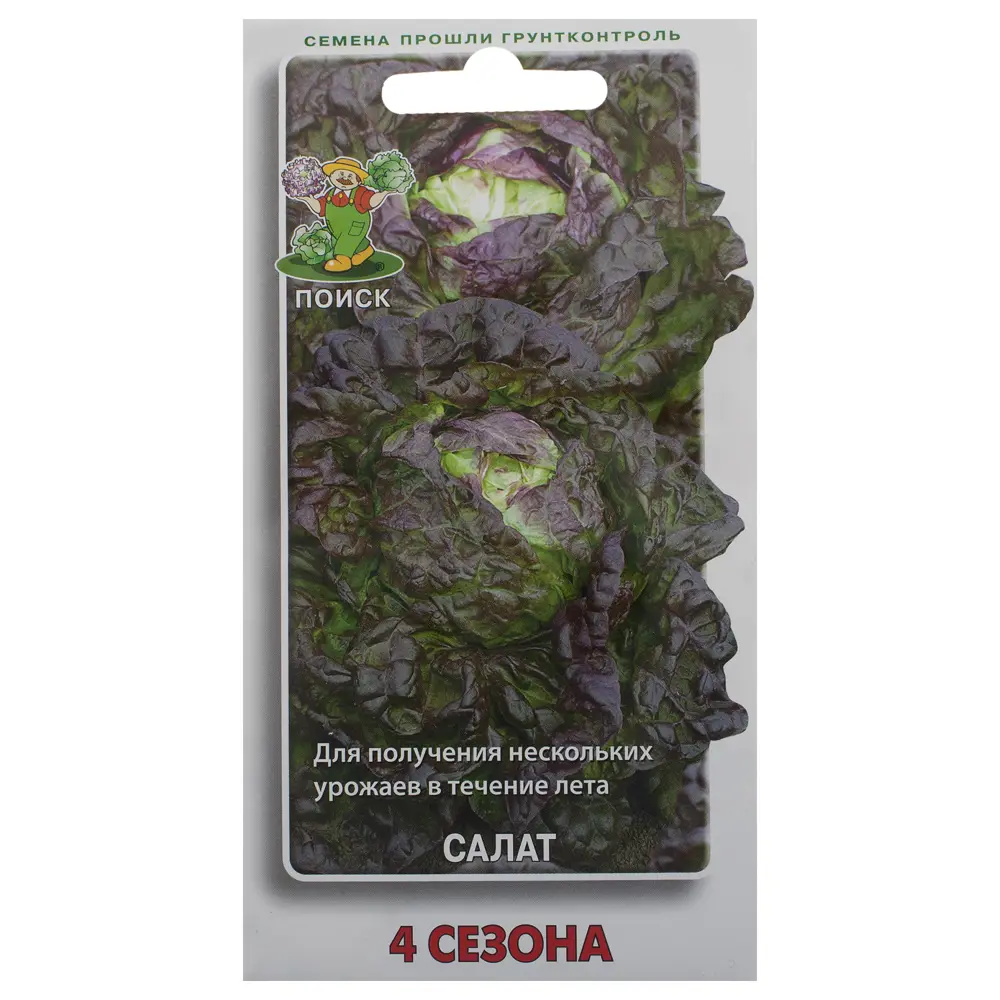 Салат «4 сезона» от ПОИСК — кочанный среднеспелый сорт 18356611 STLM-1576733