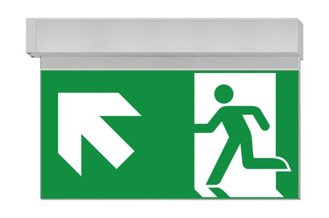 DST-1666 Ikus 320-b Daisalux Светильники сигнальные Серебристо-Серый 