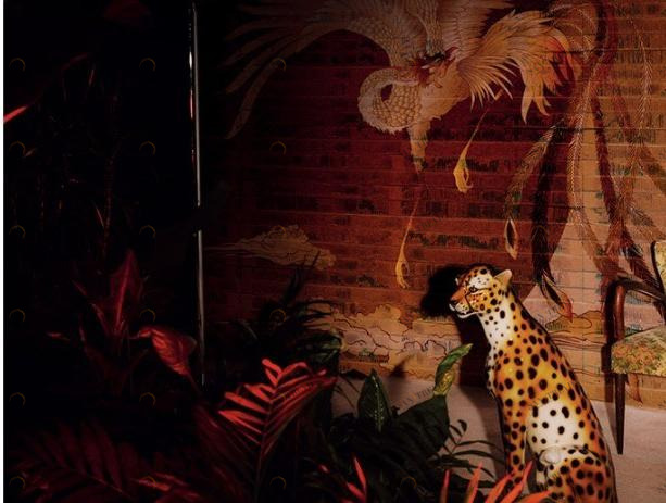 Wall&decò Огнеупорные экологические обои Contemporary wallpaper 2020 Wdnd200