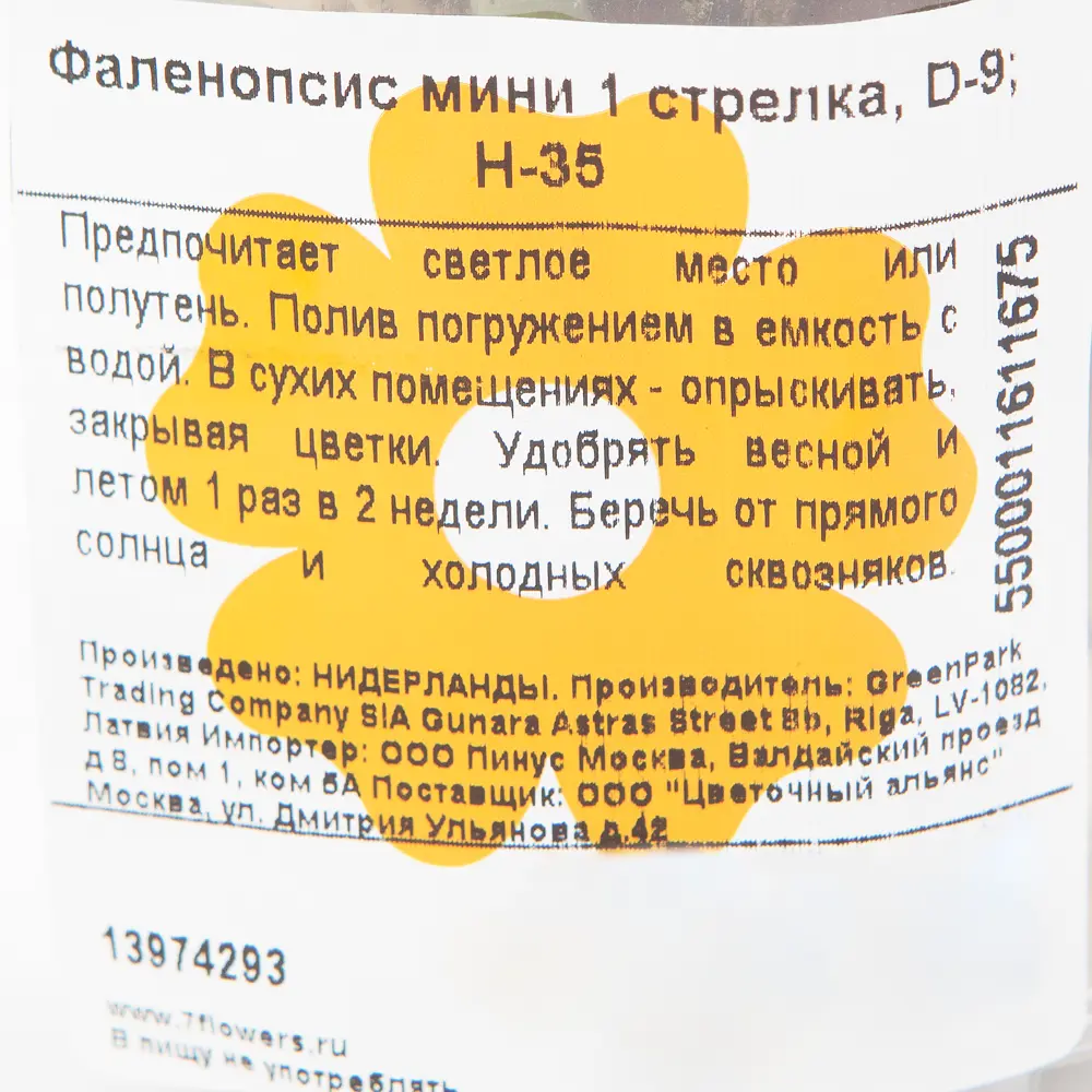 Santreyd Орхидея Фаленопсис мини — изящное украшение интерьера 13974293 STLM-0004095 - Вид №2