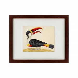 Картина: White-Throated Toucan, 1716 КАРТИНЫ В КВАРТИРУ  135727 Разноцветный
