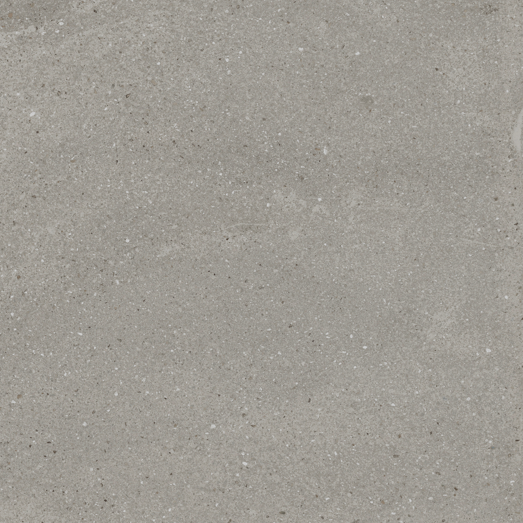 Керамогранит TREVISO GRIS 60х60 Creanza EX-204  - Вид №4