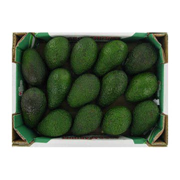 Авокадо HAAS в ящике ~4 кг Santreyd 31033 - Вид №1