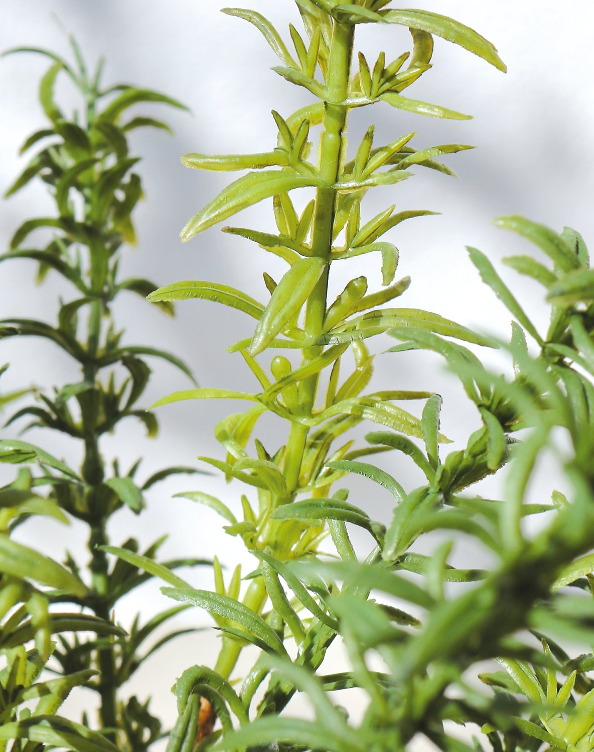 4913 883 a3 Искусственный куст розмарина, 44 см, зеленый H-andreas 