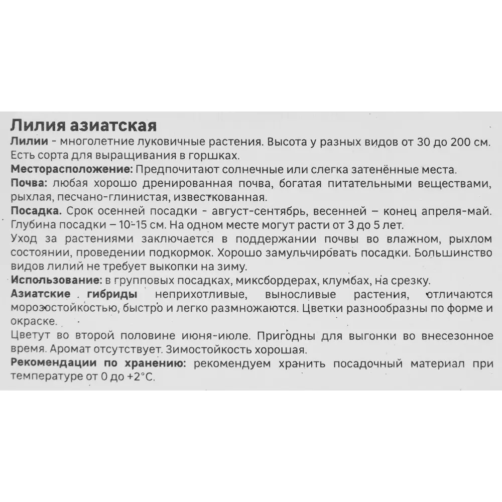 Лилия Geolia азиатская Танго Патриция Прайд 86408620 STLM-2093361  - Вид №3