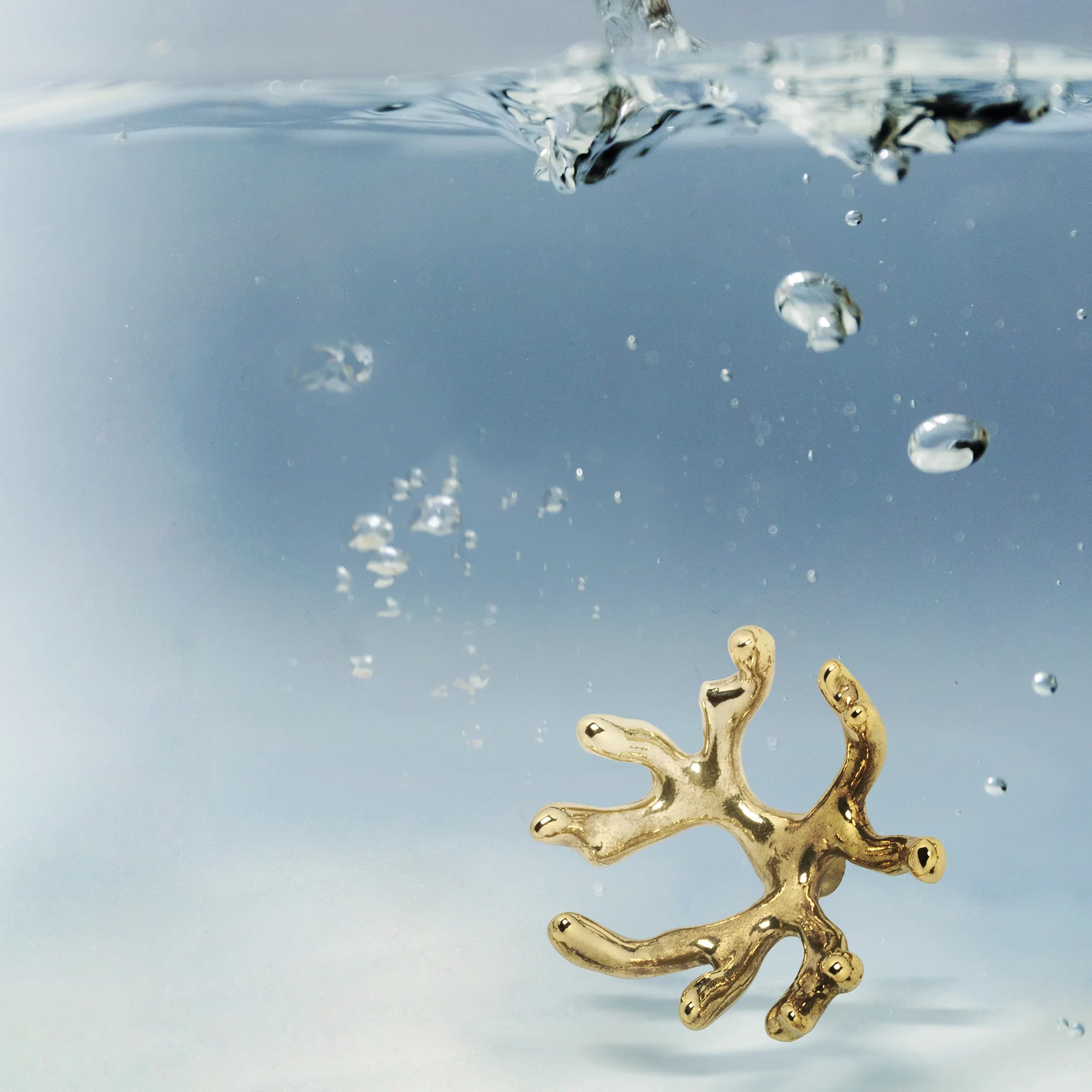 OC2006 Codium PULLCAST Ocean Collection  - Вид №4