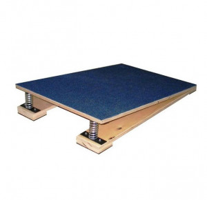 Мостик гимнастический Sportpremier