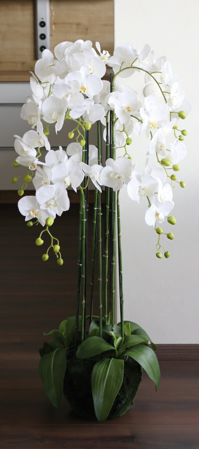 2860 777 a3 Пластиковая орхидея Phalaenopsis с 'почвой', 9-кратная, 120 см, real touch, белая H-andreas  - Вид №7