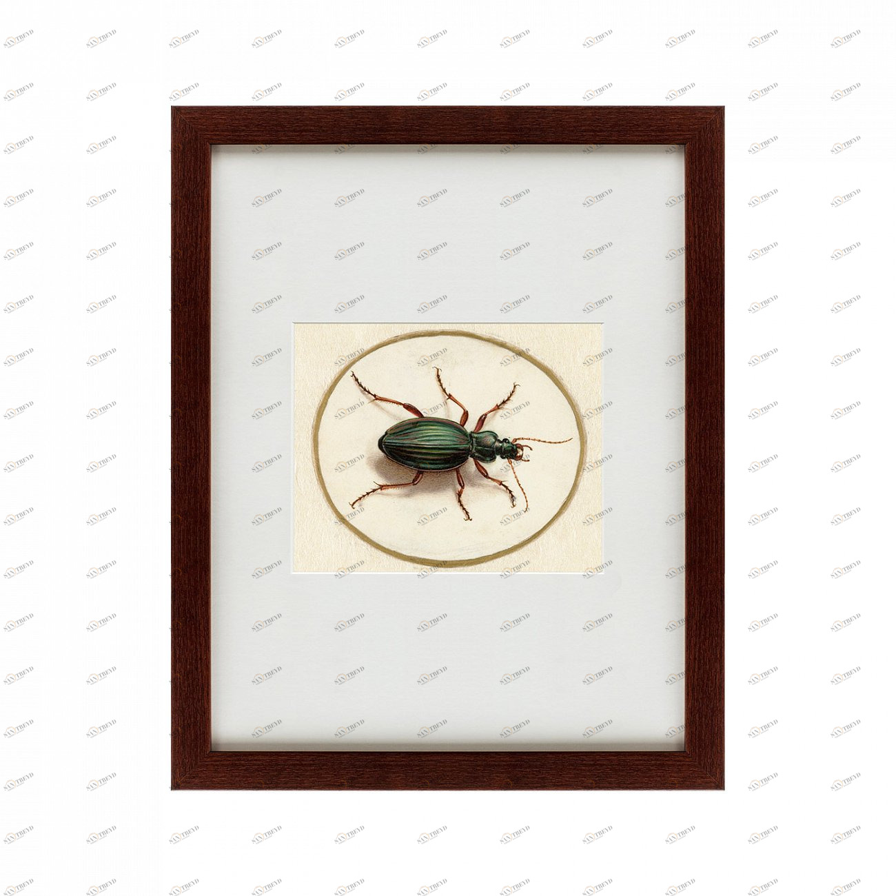Литография на тонированной бумаге 42х52 см Beetle, 1700 КАРТИНЫ В КВАРТИРУ  135751 Белый;коричневый;разноцветный 