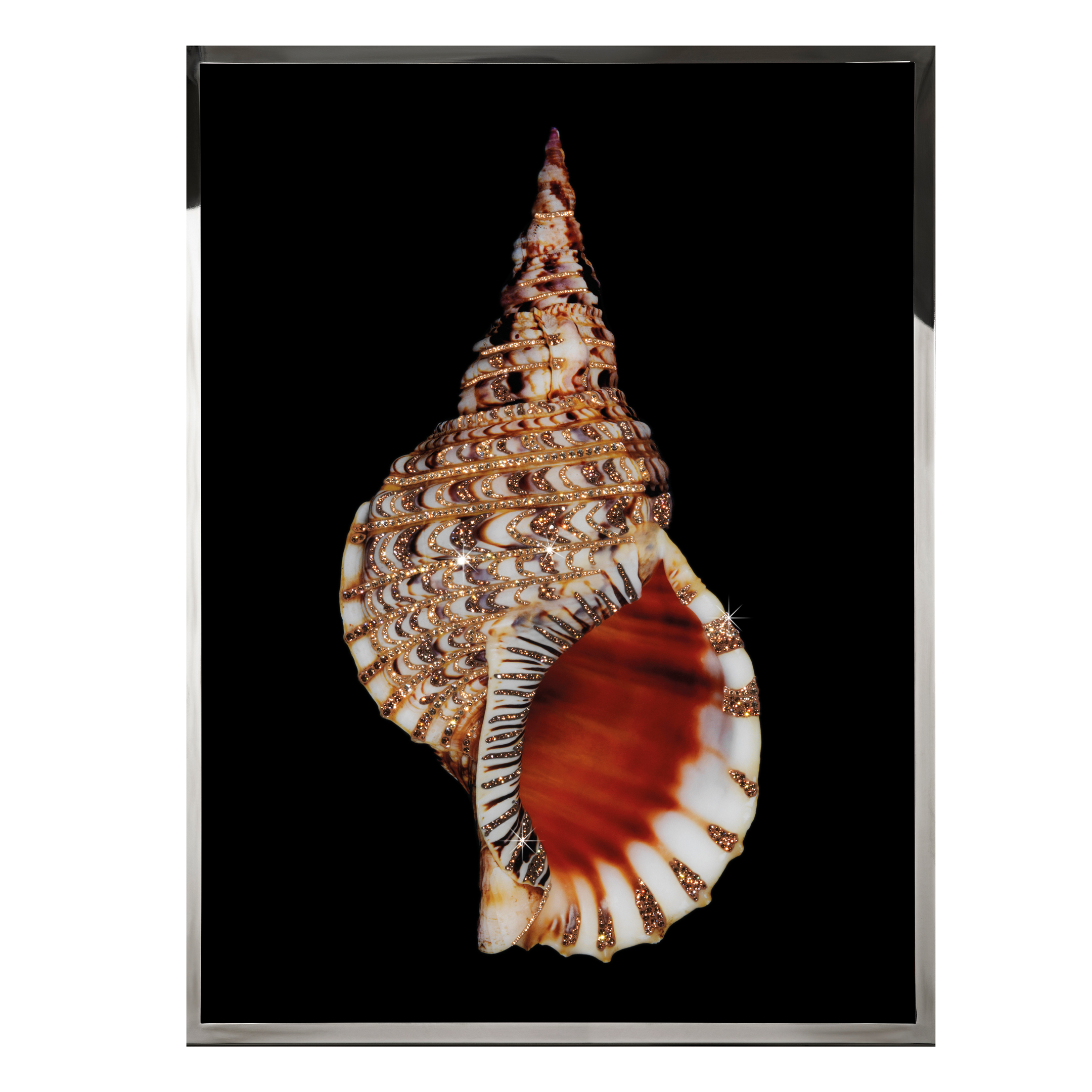 Tritonis Смешанная техника Visionnaire  - Вид №1