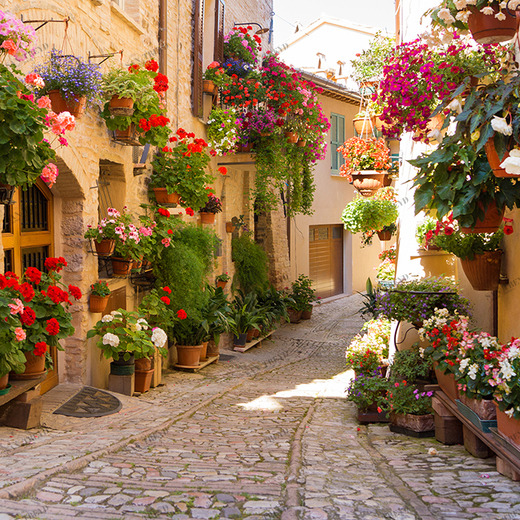 C1-363 Фотообои DIVINO Collection C 2.38х3 м C1363