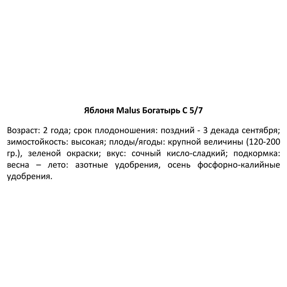 Яблоня Богатырь ø22 h80 см 84834899 STLM-2153288 PLANTMARKET  - Вид №3
