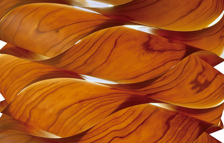 004325 Люстра LZF Link Santreyd - Вид №2