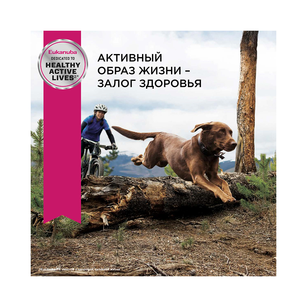 ПР0033065 Корм для собак для крупных пород старше 6 лет сух. 15кг Eukanuba  - Вид №4