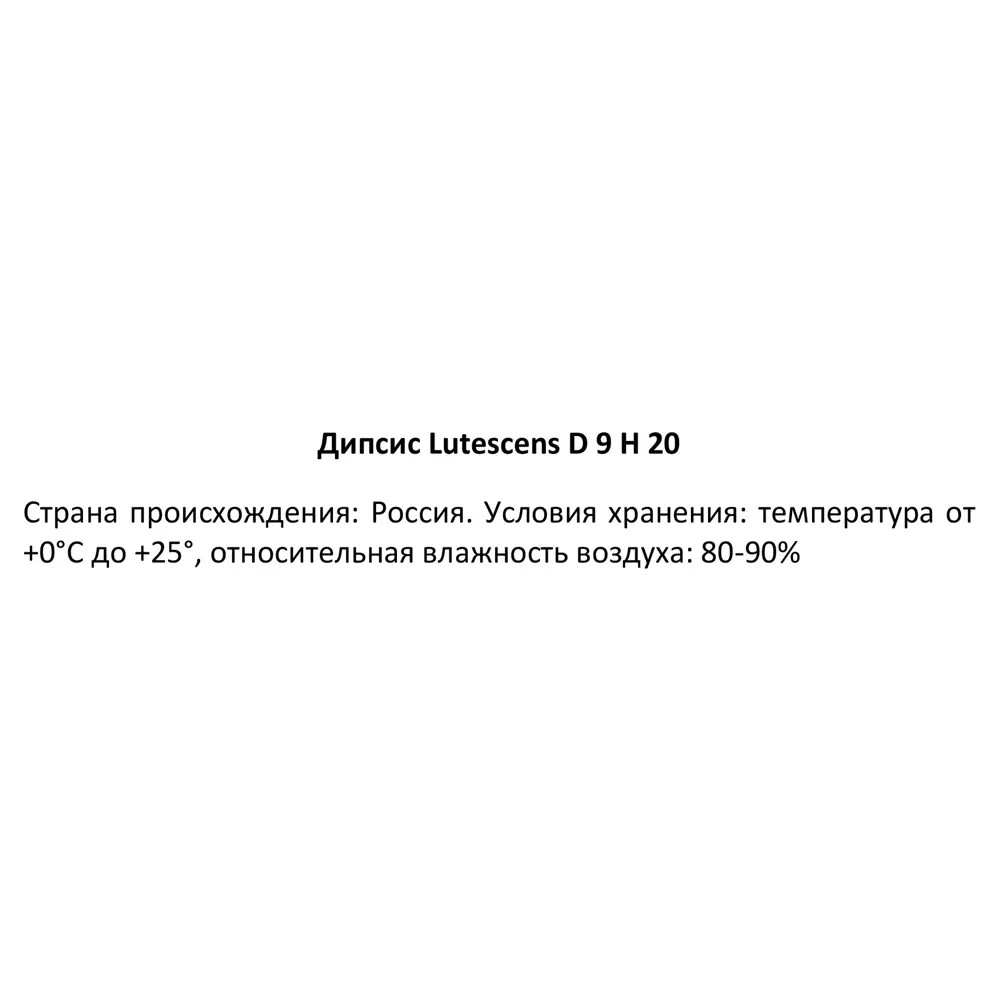 Дипсис Лютесценс от Santreyd — элегантная пальма для вашего интерьера 89354583 STLM-0950088 - Вид №3