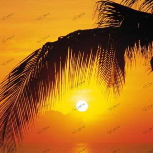 2-1255-Palmy-Beach-Sunrise Фотообои Komar Doors 2.2х0.92 м 21255PALMYBEACHSUNRISE