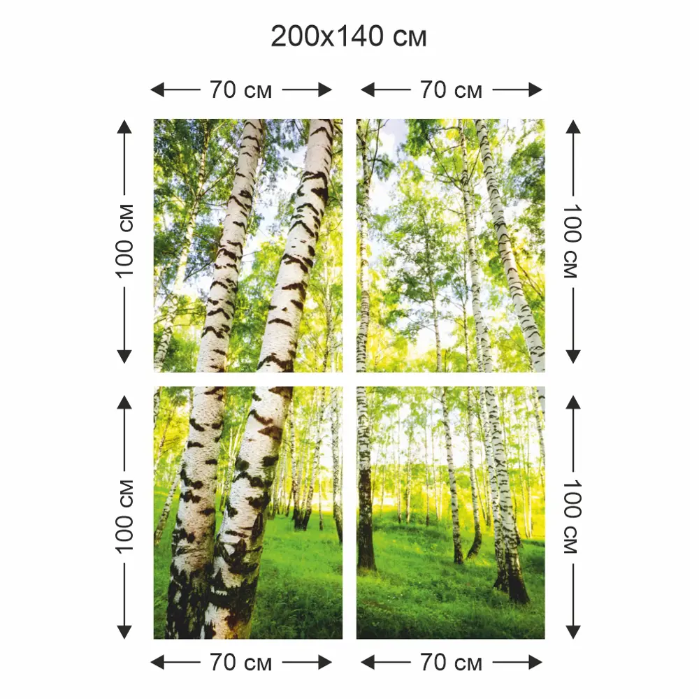 Фотообои бумажные В березках 140x200 см Симфония STLM-2000493 - Вид №2