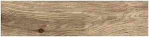 Forest OAK K-13/SR 15x60