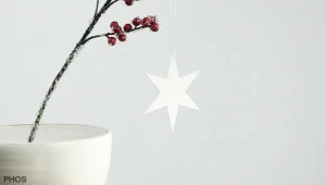 STERN2KW Poinsettia carinae-3, белая порошковая окраска PHOS