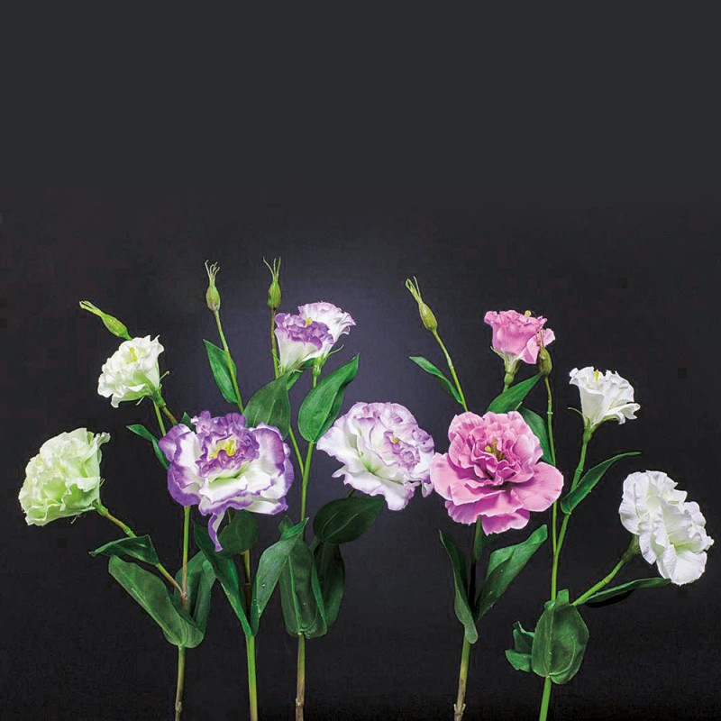 L29BIX6 Лизиантус Цветок Adriani e Rossi 