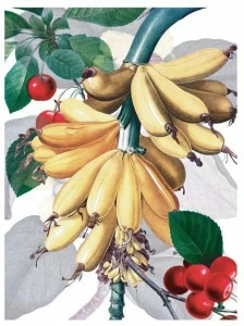 The NapKing Льняное кухонное полотенце Fructus