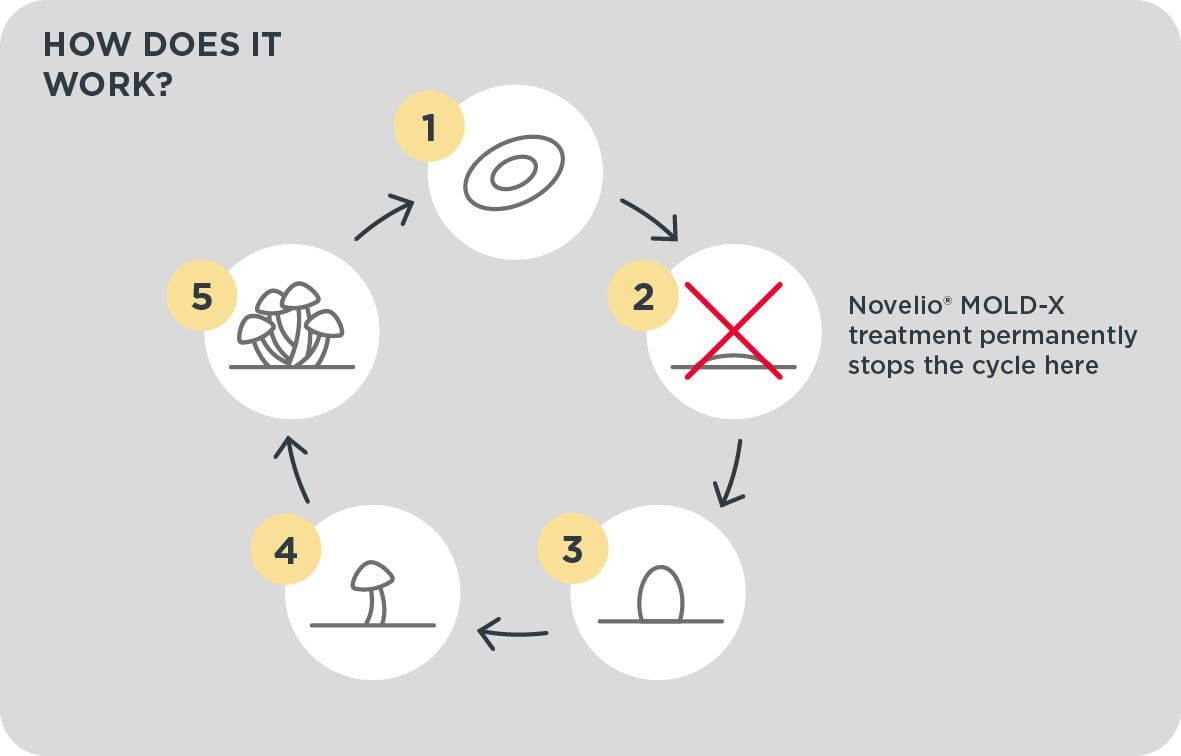Обои из стекловолокна ADFORS ADFORS Novelio ® Specialities ARCH-00022595 - Вид №4