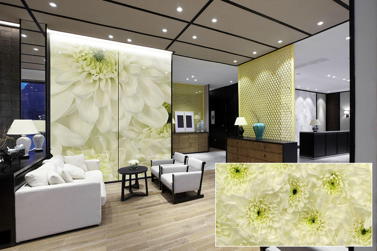 FSRT375 Зум-стекло Vivispectra с прослойкой из содалита  Forms-surfaces  - Вид №13