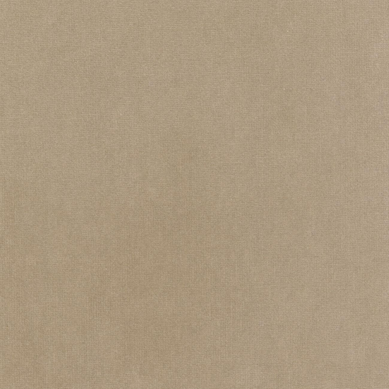 Бархатная однотонная ткань Élitis Palatine ARCH-00143253 - Вид №13