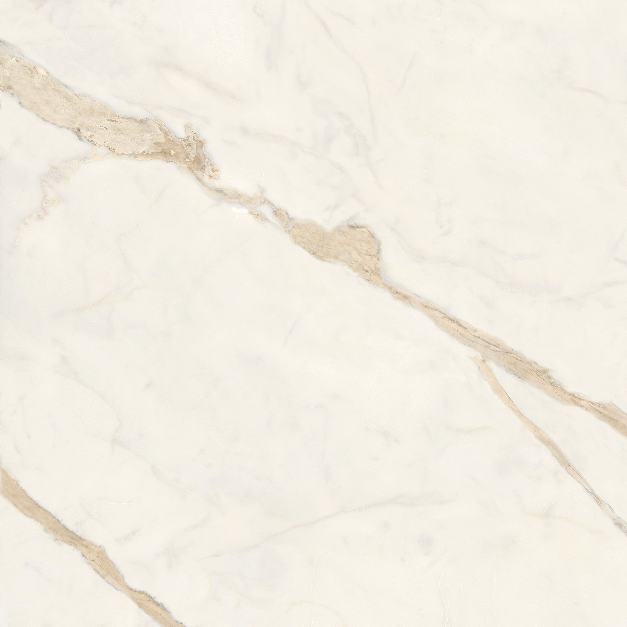 Пол / керамогранит с мраморным эффектом Italgraniti Marble Touch ARCH-00062183 - Вид №15