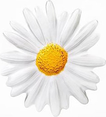 10666115 MALERAS Скульптура MALERAS "Маргаритка", 9см, хрусталь Хрусталь 