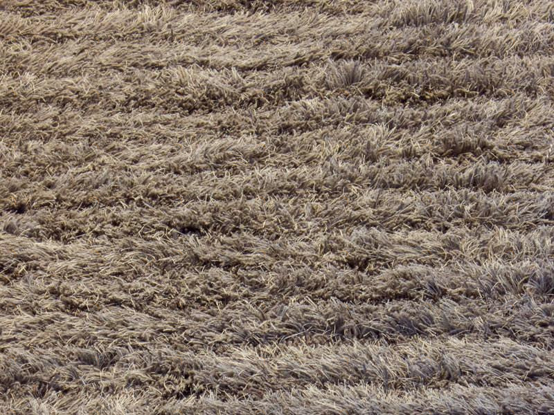 Woodnotes Коврик с длинным ворсом sun-id-1490101