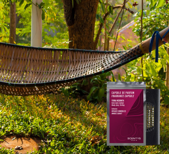 F1623 Ароматическая капсула SCENTYS Santreyd 