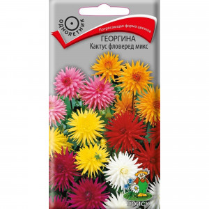 83227380 Семена Георгина кактус «Фловеред Микс»