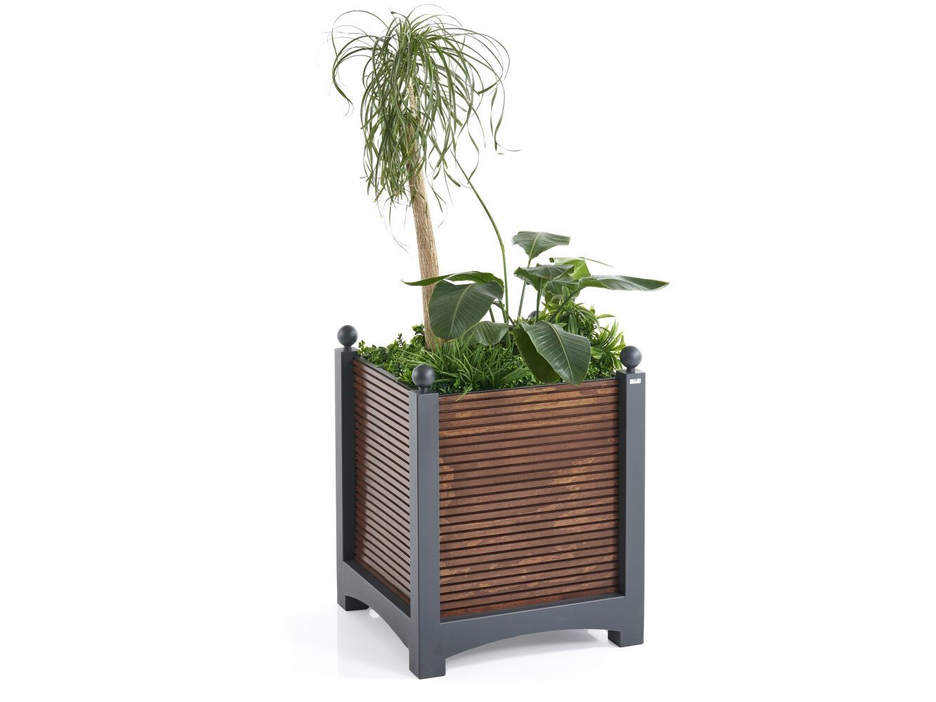 Квадратный плантатор Fi.Ma Реджио ARCH-00043049